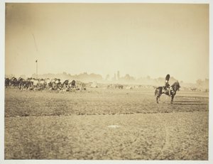 Untitled [Cavalry]