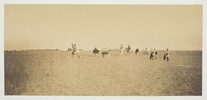 Untitled [Visitors Watching Military Manoeuvres]