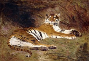 A Reclining Tiger