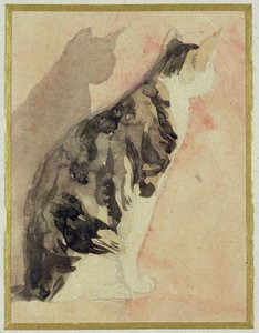 Study of a Cat