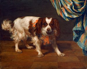 A King Charles Spaniel by Gysbert van de Kuyl