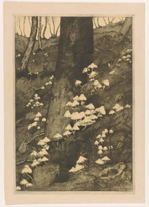 Mushrooms in a Forest by H.C. Spruit (signed by artist)
