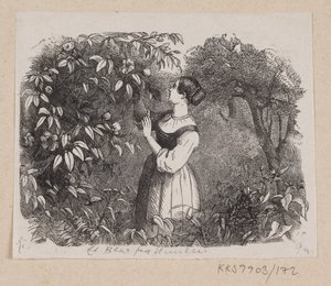 Illustration for "A Leaf from Heaven" in H.C. Andersen, "Fairy Tales and Stories", Volume 2