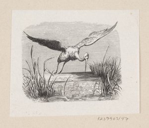 Illustration for "The Storks" in H.C. Andersen