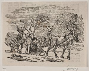 Sleigh Ride with Reindeer