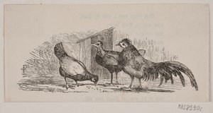 Three Chickens by H. C. Henneberg