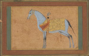 A Stallion, ca. 1601-6