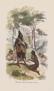 Robinson rescues Friday by after Hablot Knight Browne