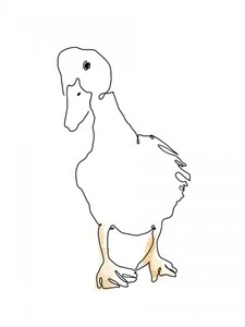 Sweet Duckling Line Art