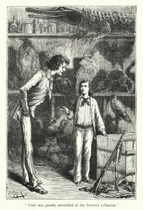 Unac Was Greatly Astonished at the Doctor