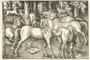 Group of Seven Horses and a Monkey by Hans Baldung Grien