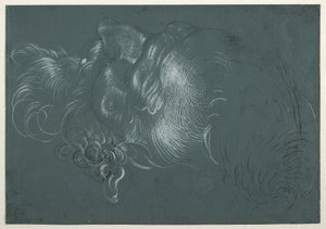 Head of an Apostle, Seen from Above Left by Hans Baldung Grien
