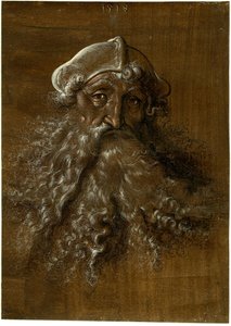 Head of an Old Man with a Heavy Beard by Hans Baldung Grien