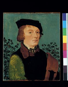 Portrait Of A Man In Front Of A Rose Hedge by Hans Baldung Grien