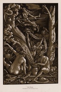 The Witches