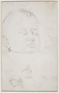 The Head of a Small Boy in Three-Quarter Profile, the Boy