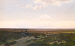View of Parup Moors near Silkeborg, Jutland