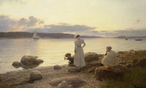 Summer Night