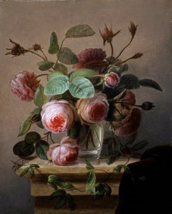 Still Life of Pink Roses in a Glass Vase