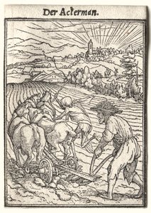 Dance of Death: The Ploughman