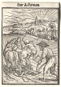 Dance of Death: The Ploughman