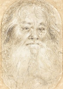 Study of a Bearded Man by Hans Holbein the Elder