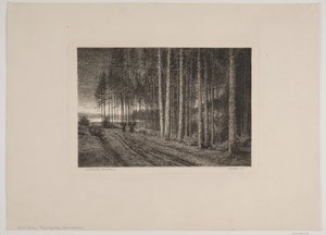 Rainy Day in the Pine Forest by Hans Julius Fæster