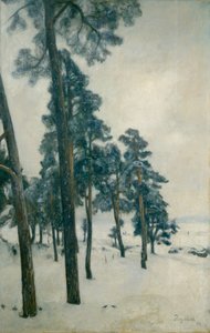 From Bogstad Lake