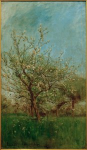Blossoming Trees Uerdenbach by Hans Peter Feddersen der Jüngere