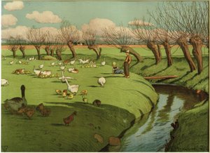 Goose Meadow