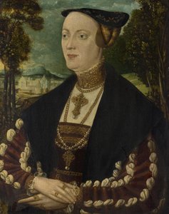 Portrait of a Noble Lady