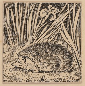 Drawing for the Primer: Hedgehog by Hans Thoma