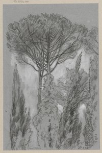 Trees in Florence by Hans Thoma