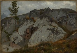 Rock Blocks with Small Firs