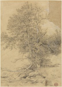 Willow by the Stream by Hans Thoma