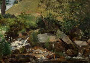 Meadow Stream with Bushes and Grasses by Hans Thoma