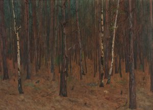 Forest Interior