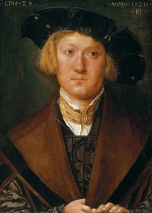 Portrait of a Young Man