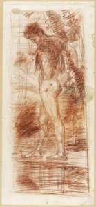 Narcissus