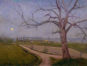 Spring Evening in Vestre Aker