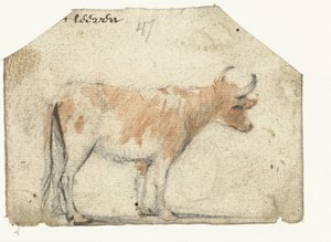 Cow, from the Side by Harmen ter Borch