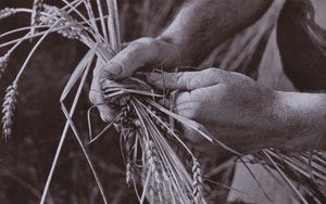 Making Straw Bands