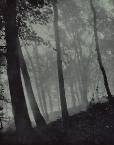 Arched Walks of Twilight Groves and Shadows Brown of Pine, or Monumental Oak, Milton