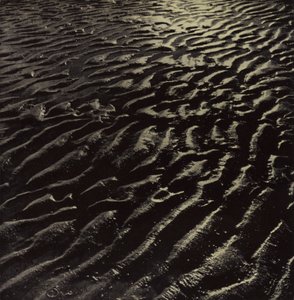 ... the ribbed sea-sand, Coleridge