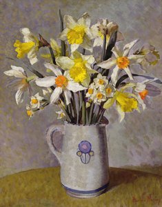 Daffodils