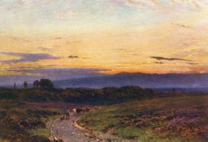 A Summer