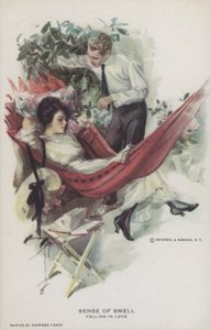 Sense of Smell - Falling in Love