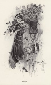 Woman picking flowers with a male admirer by Harrison Fisher