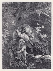 Fight between a Chaffinch and a Sparrow by Harrison William Weir