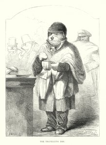 Funny Dogs: The Travelling Dog by Harrison William Weir